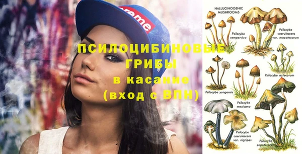скорость Алзамай