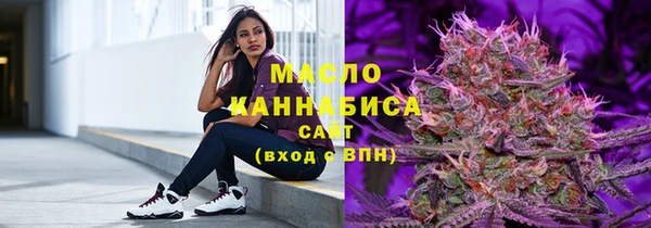 крисы Абаза