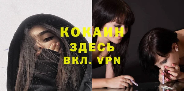 крисы Алексин
